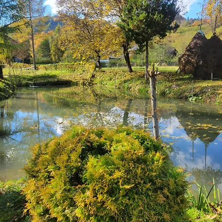 Дом отдыха забрус насолоди