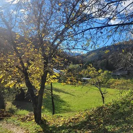 забрус насолоди Косов