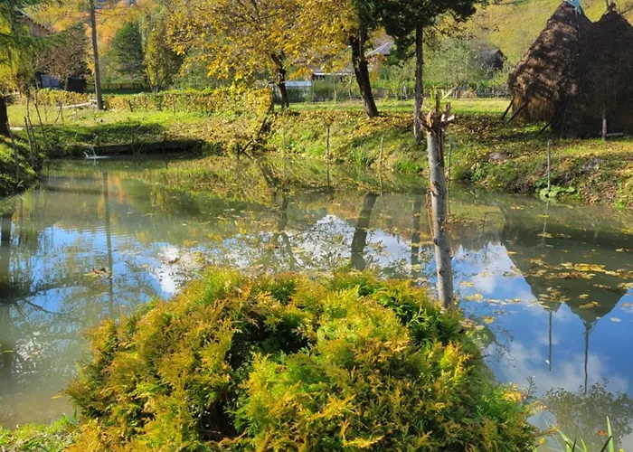 Σπίτι διακοπών забрус насолоди